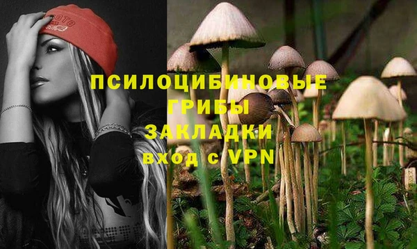 2c-b Богородицк