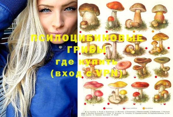 а пвп мука Богданович