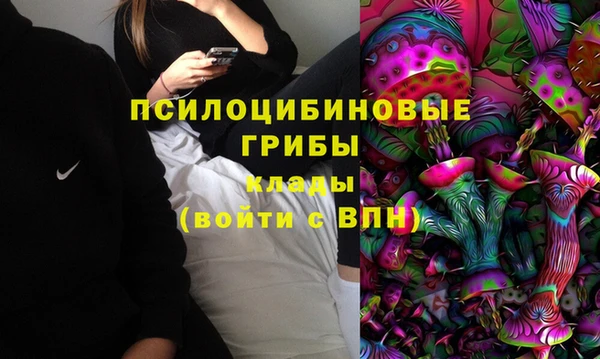 2c-b Богородицк