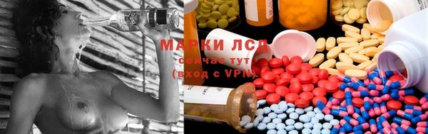 а пвп мука Богданович
