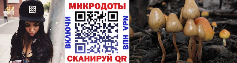 Галлюциногенные грибы мухоморы  купить наркоту  площадка официальный сайт  Белово 